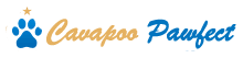 Cavapoo Pawfect